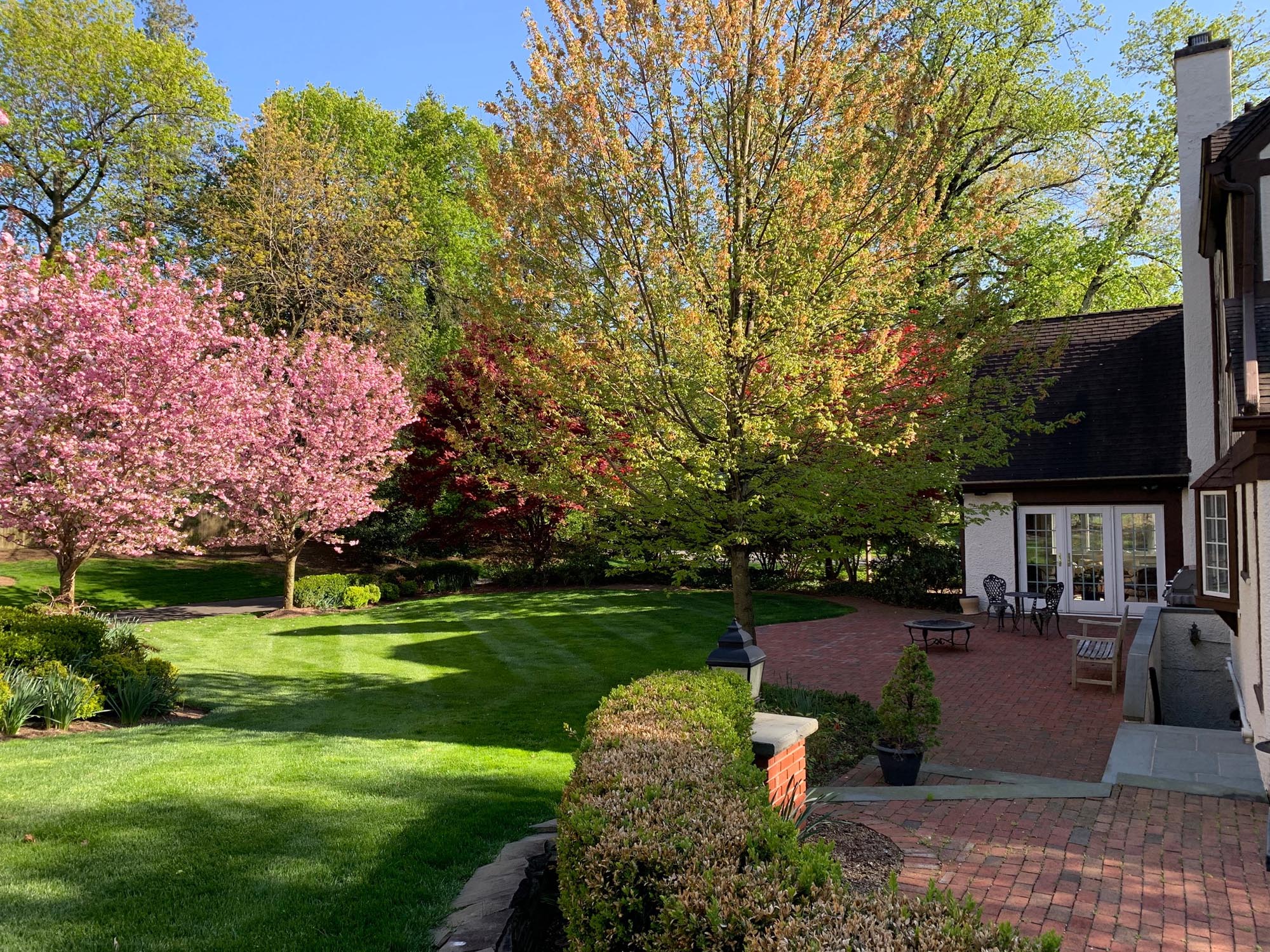 16 West Rd Short Hills NJ Kate yard spring blossoms