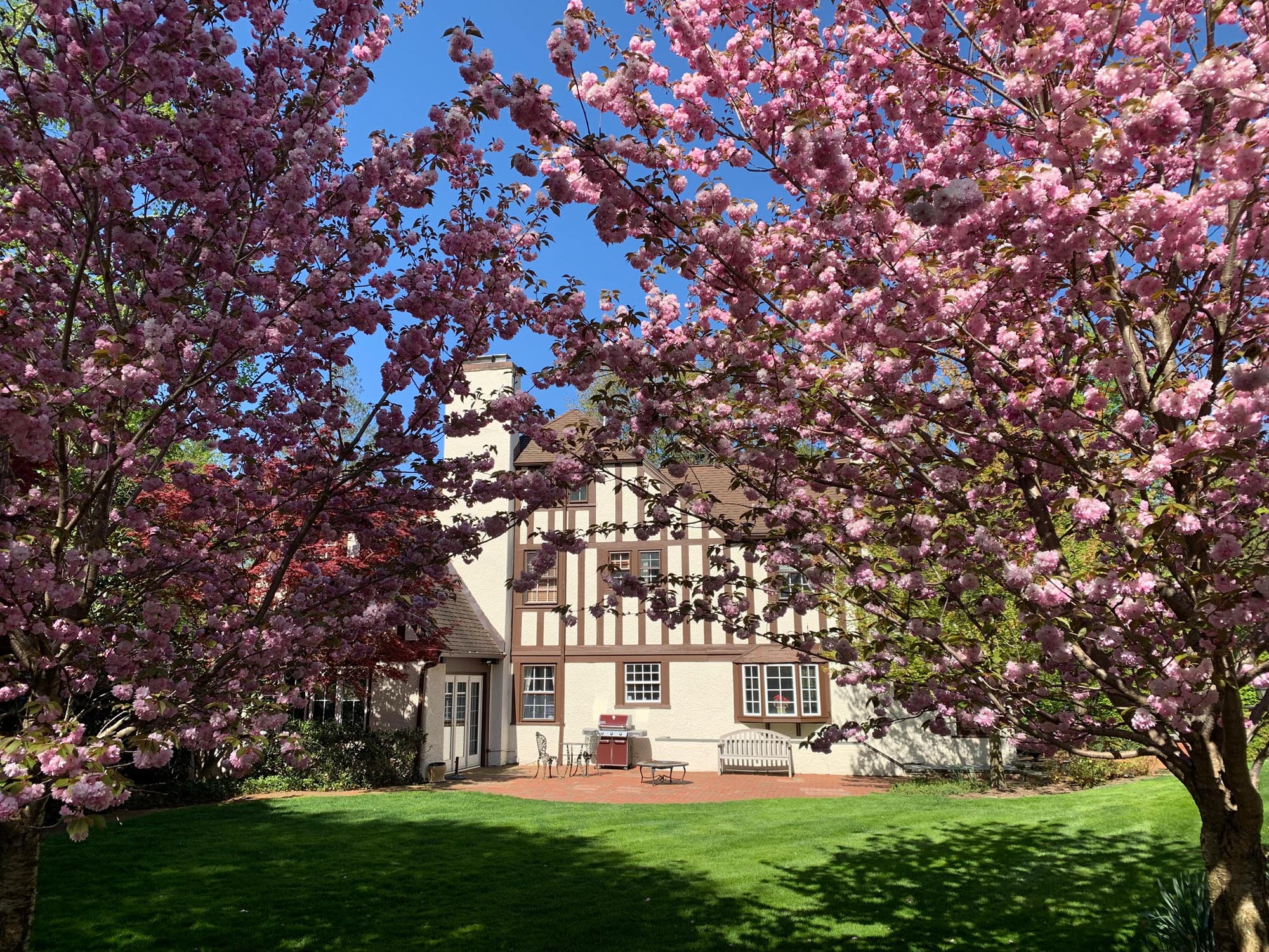 16 West Rd Short Hills NJ Kate backyard thru blossoms