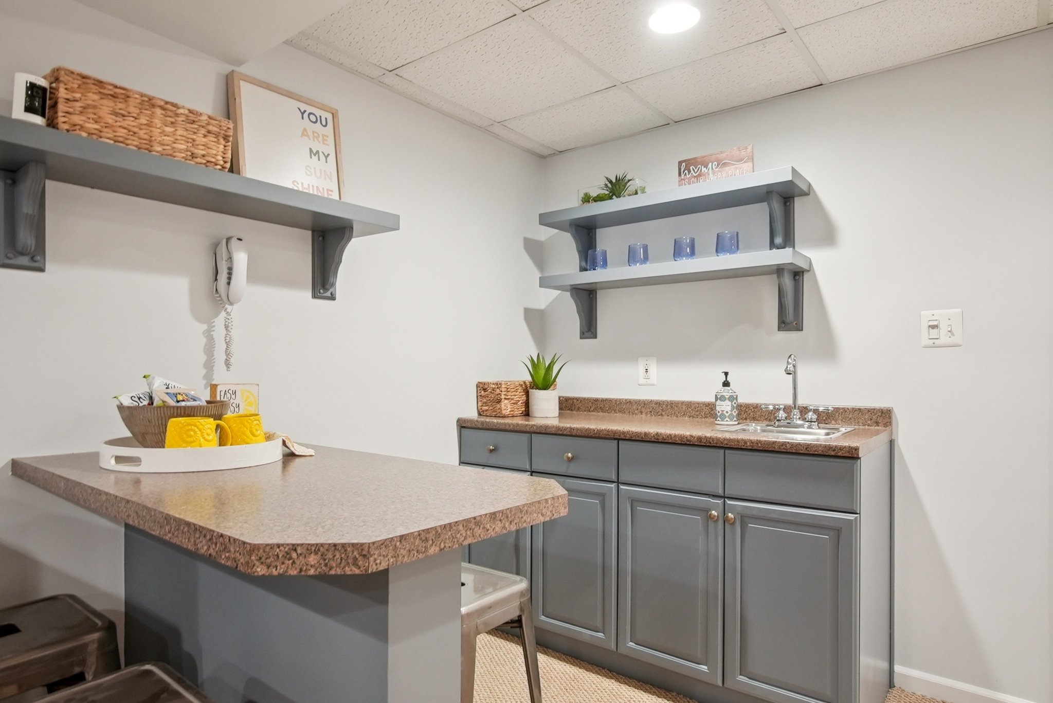 5 Barry Lane, Short Hills - Rec Room Wet Bar
