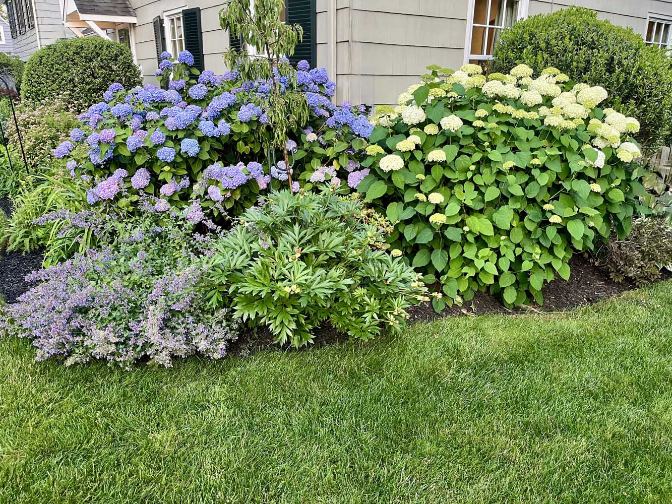53 60 Wellington Ave -Beautiful flowers - The Elizabeth Winterbottom Team