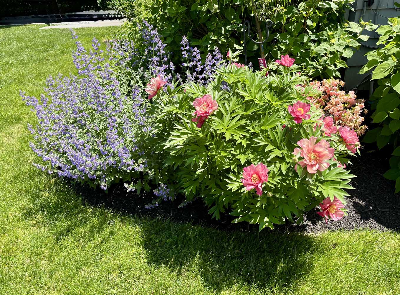 55 60 Wellington Ave -Beautiful flowers - The Elizabeth Winterbottom Team
